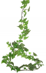 Hedera helix (Klimop) slinger, 180 cm